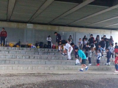 本日、雨ですが・・台風も来てますが・・