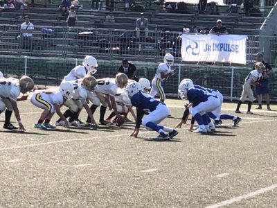 祝！BEARS勝利?✨