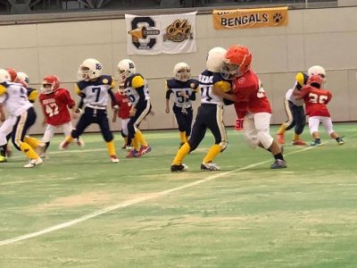 Repost from @chestnutleague @TopRankRepost #TopRankRepost ★ジュニアピーウィークラス★