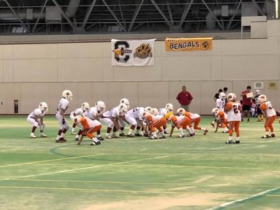 Repost from @chestnutleague @TopRankRepost #TopRankRepost ★ピーウィークラス★