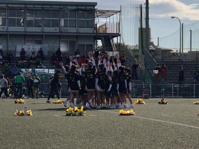 Repost from @chestnutleague @TopRankRepost #TopRankRepost チアも盛り上がってます！！